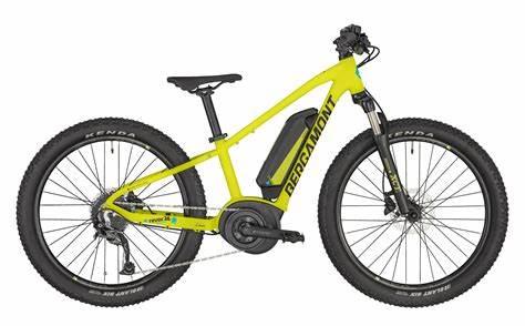 BERGAMONT EREVOX 24